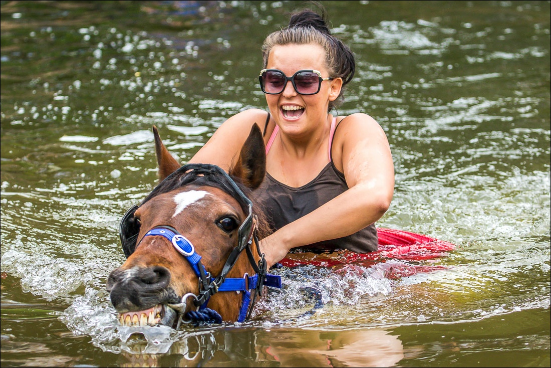 Appleby Horse Fair, Appleby in Westmorland