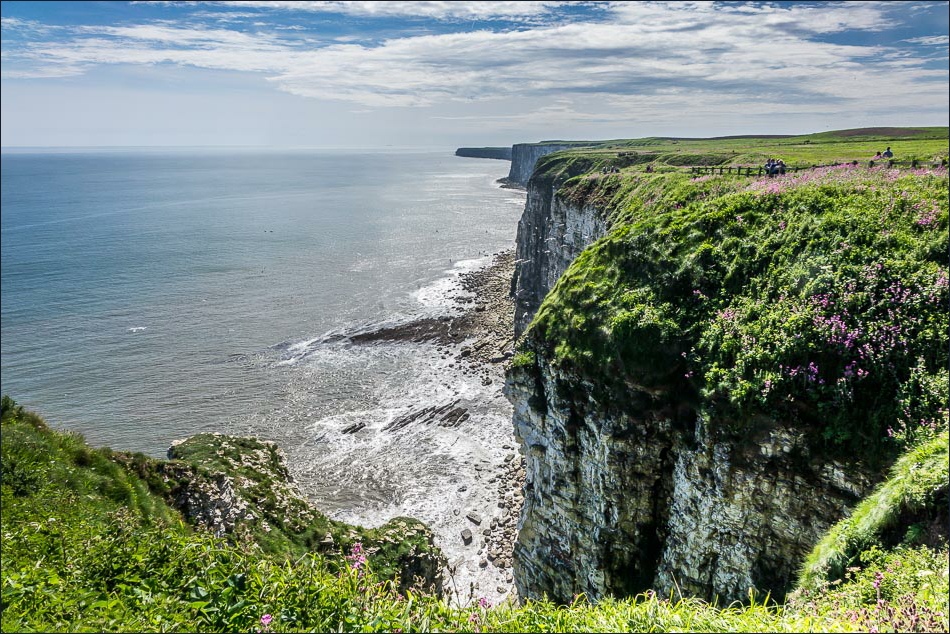 Bempton Cliffs