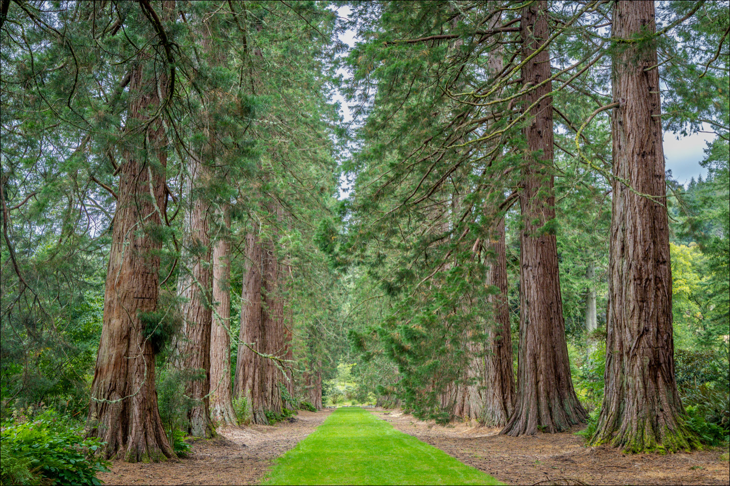Benmore Botanic Garden