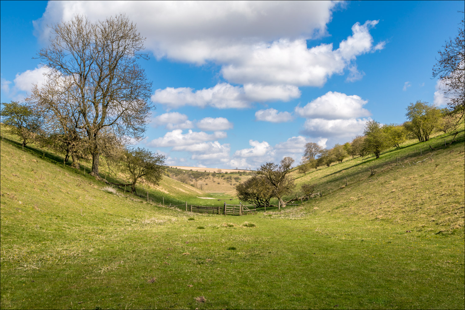 Chalkland Way