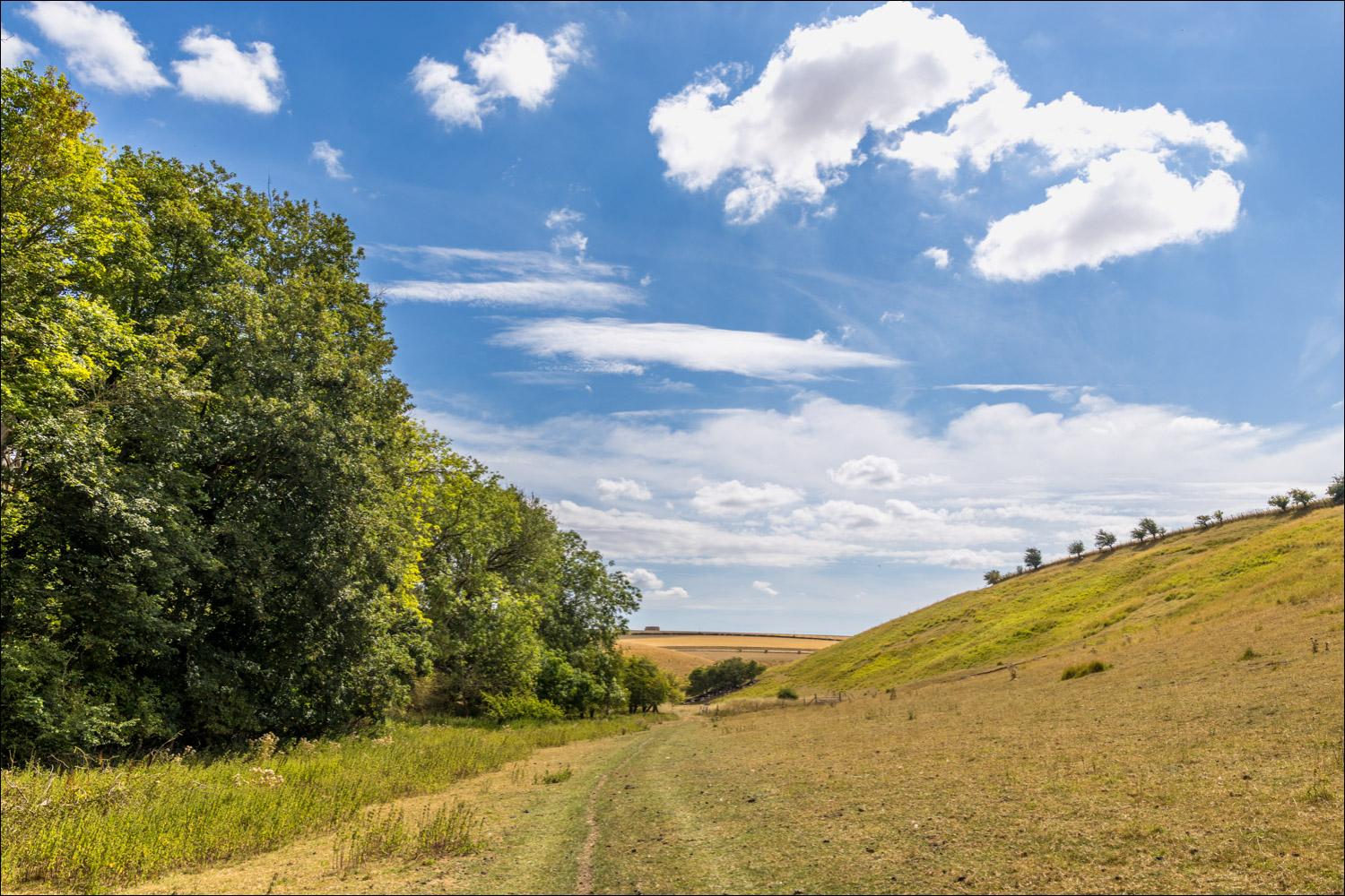 Cowlam to Cottam
