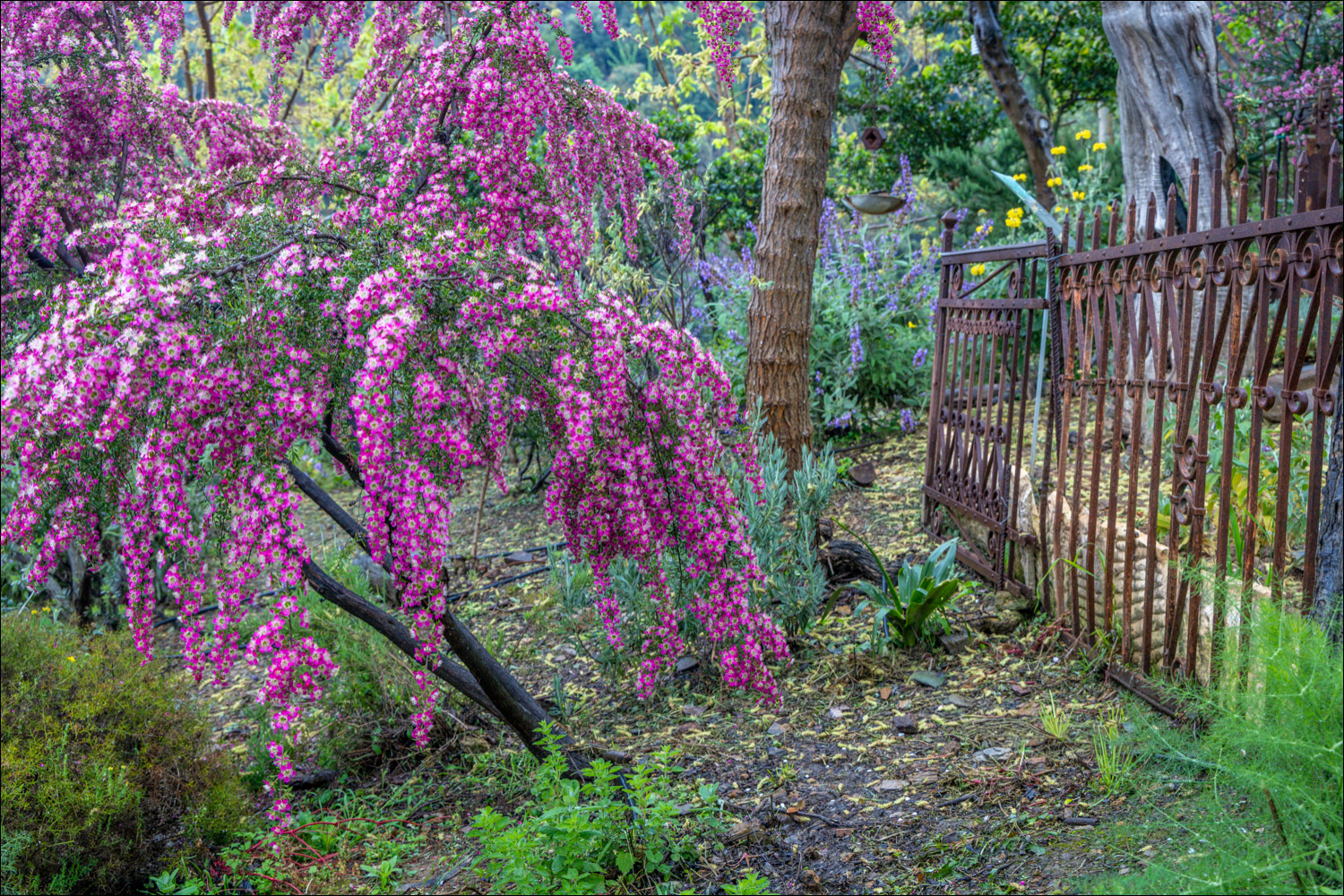 Crete Botanical Garden