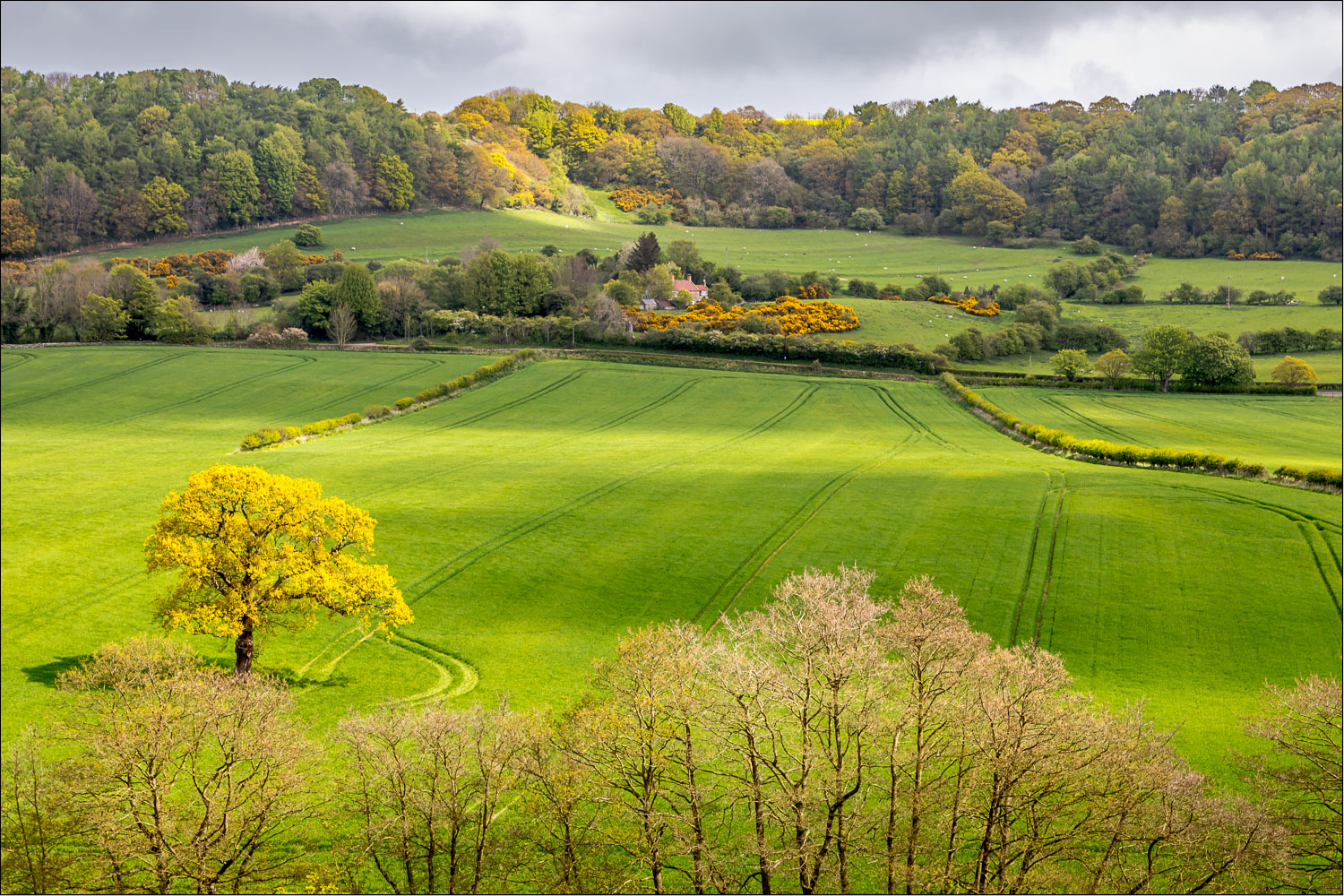 Forge Valley