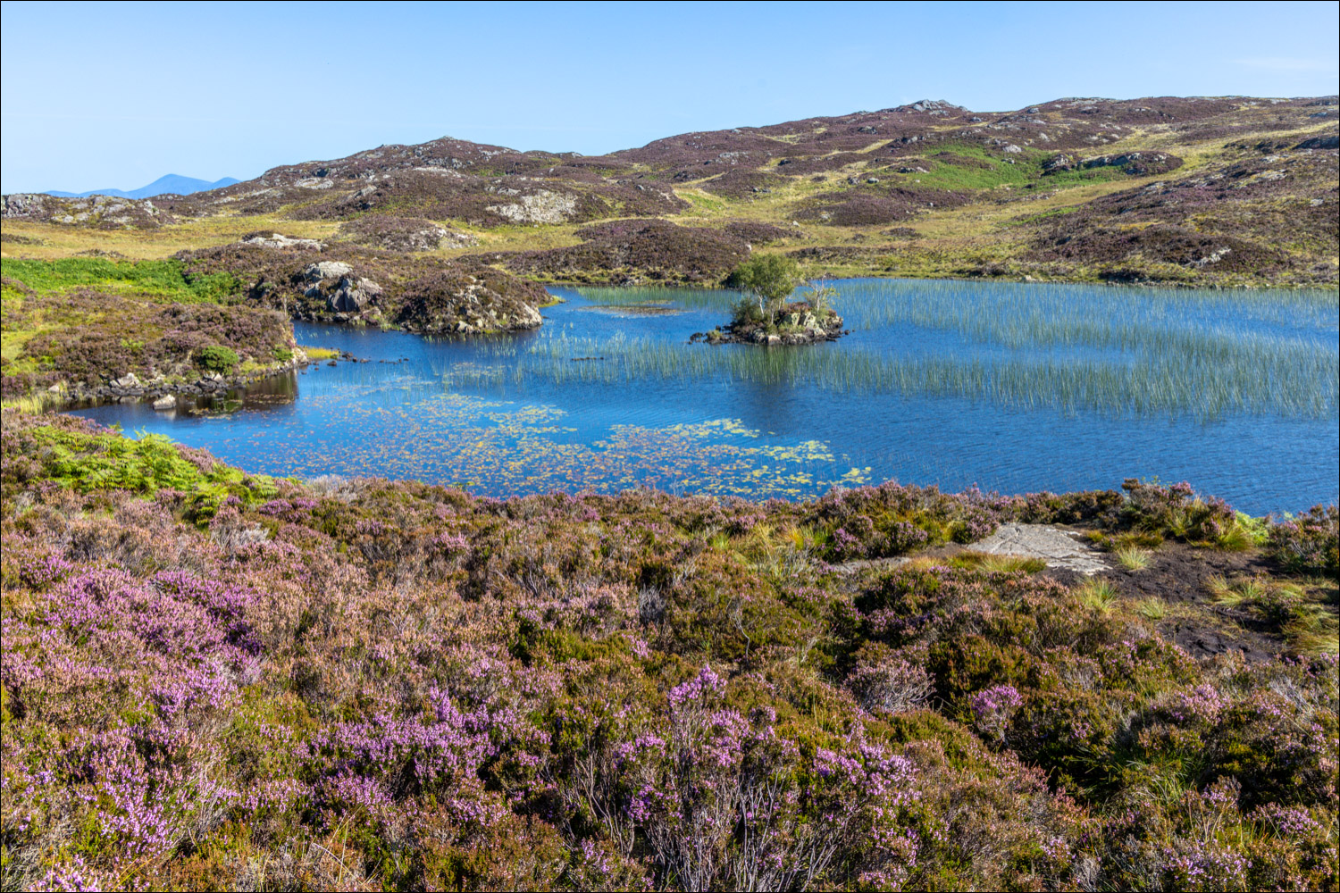 Dock Tarn, Great Crag