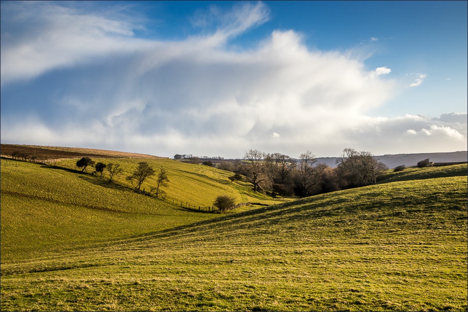 Hackness walk, Lowdales