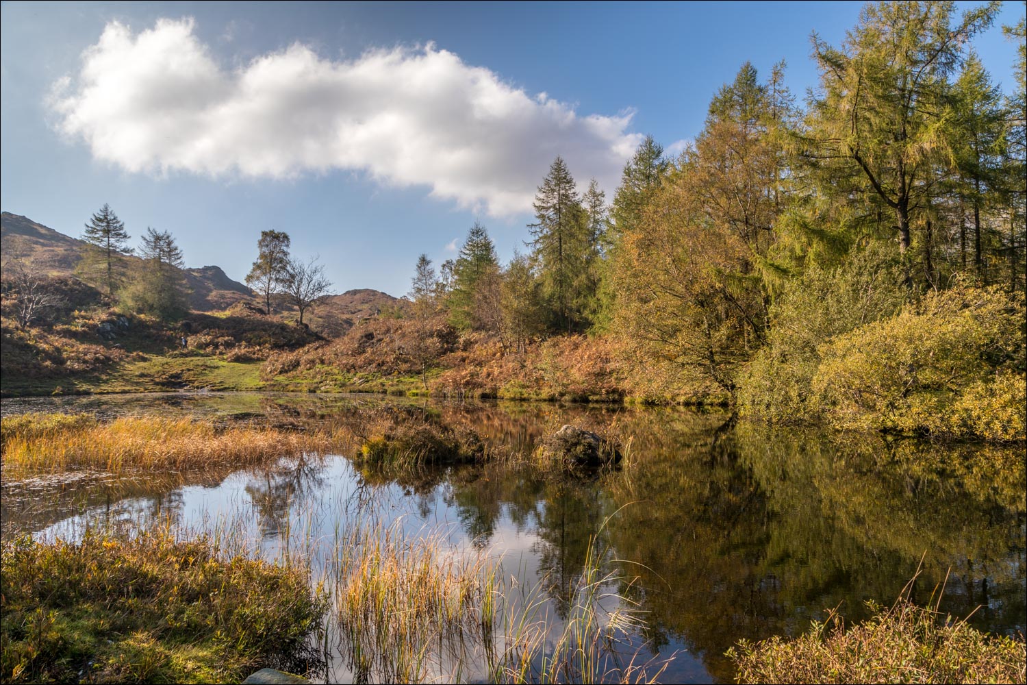 Holme Fell