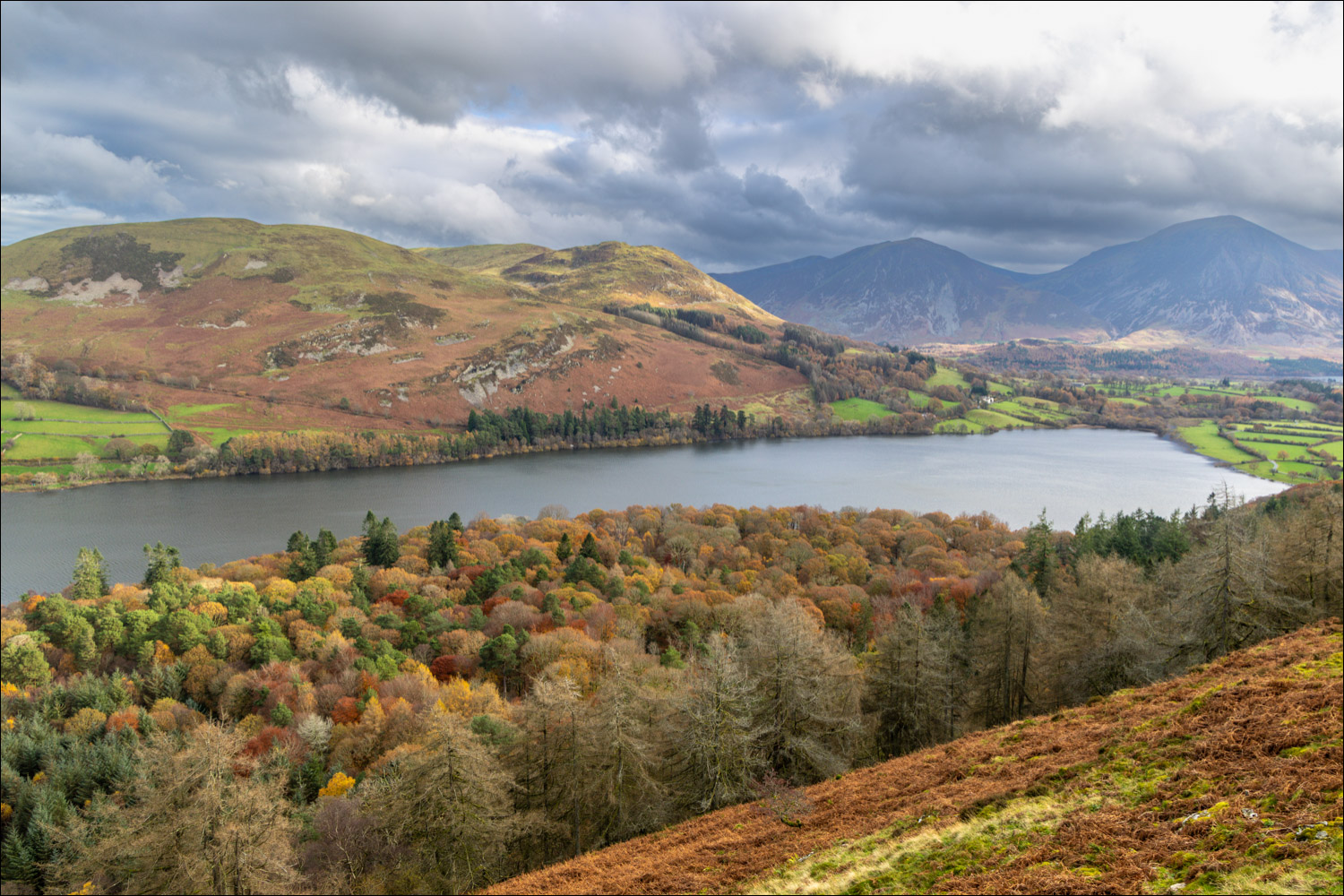 Holme Wood and Loweswater