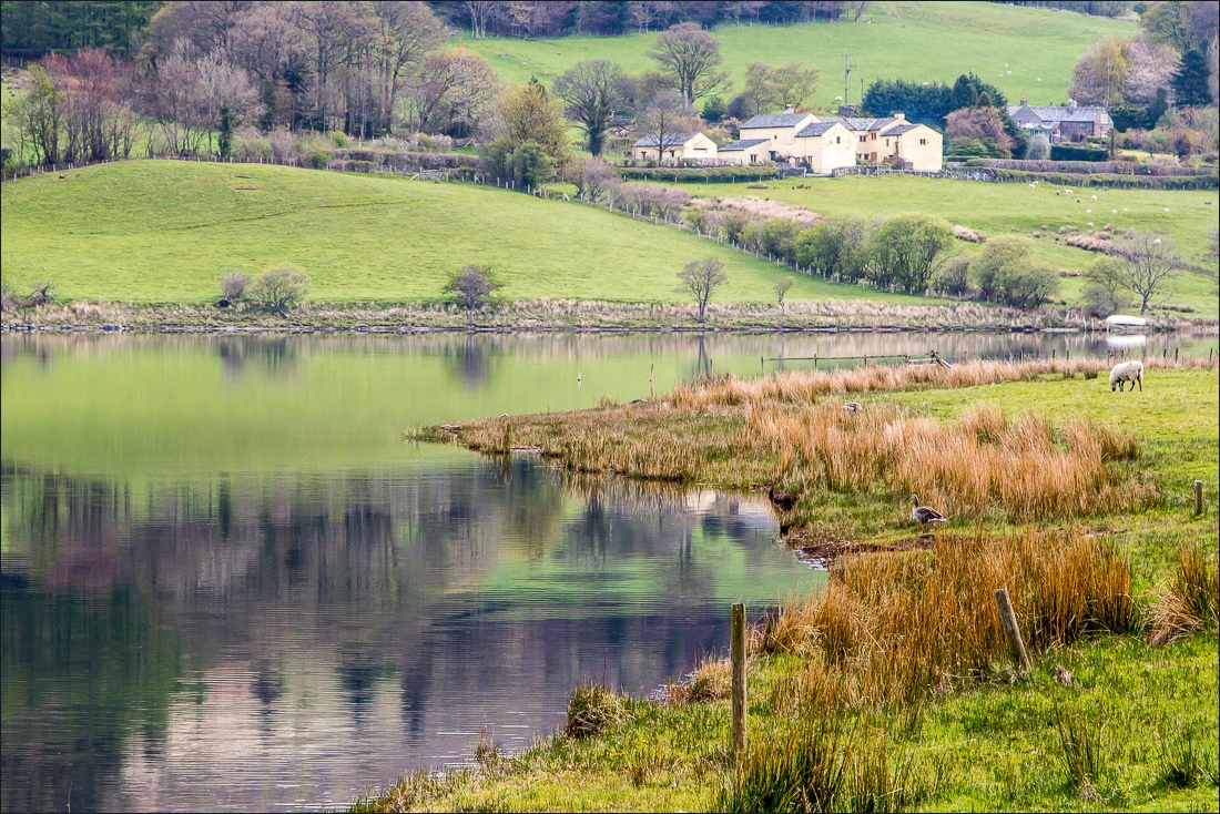 Holme Wood and Loweswater
