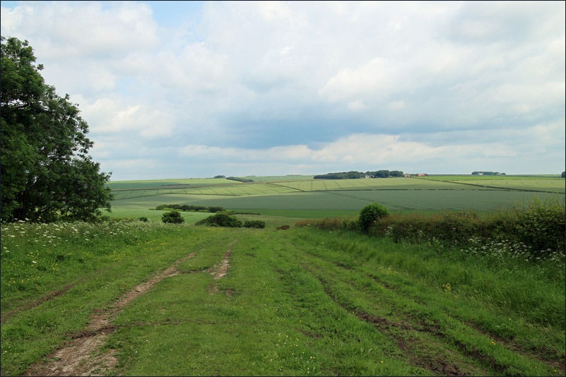 Garton Wold