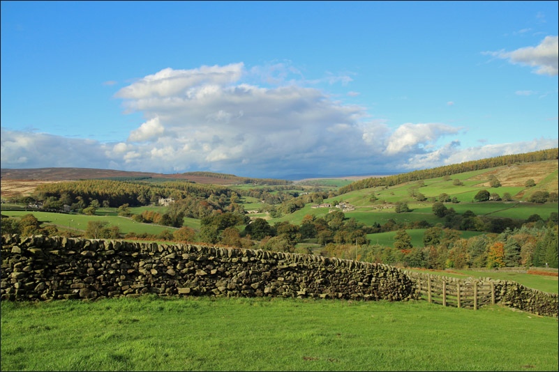 Bolton Abbey