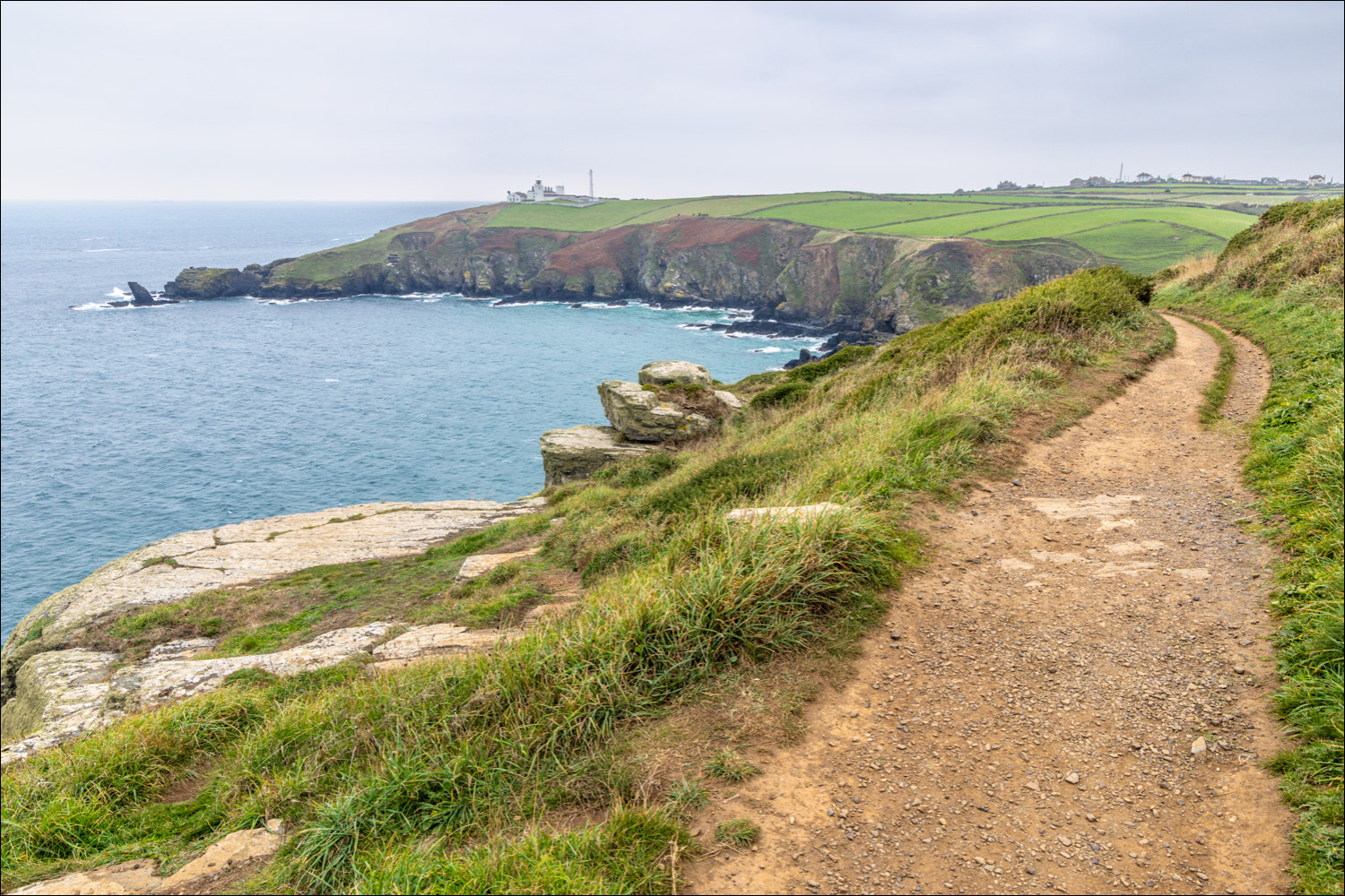 Lizard Point