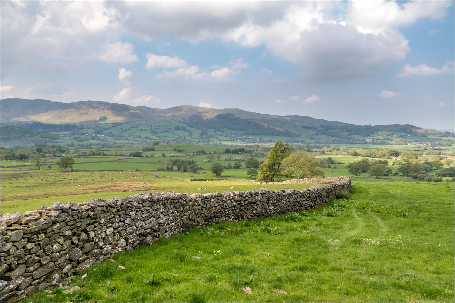 Lorton Vale