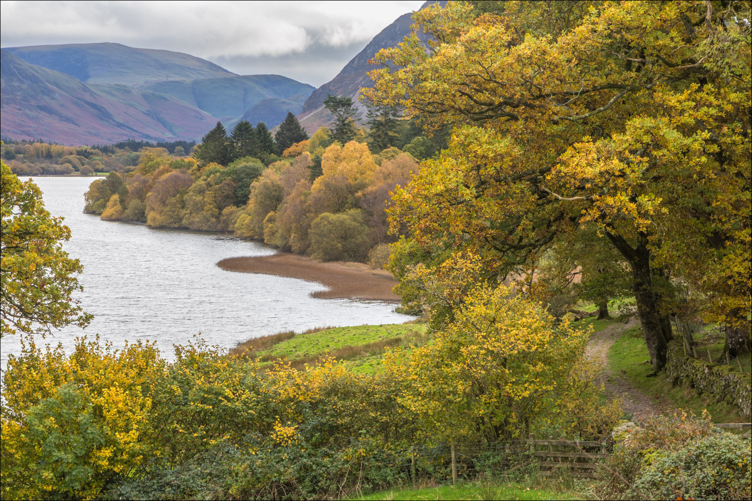 Loweswater and Holme Wood
