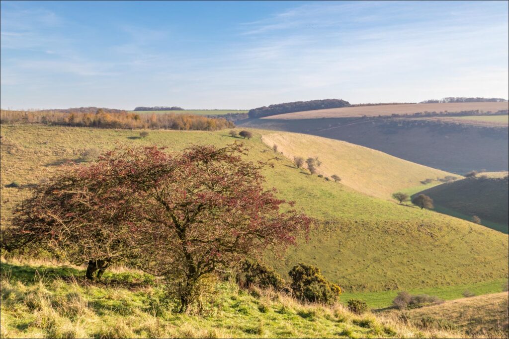Millington Pastures walk Millington walk East Yorkshire walks