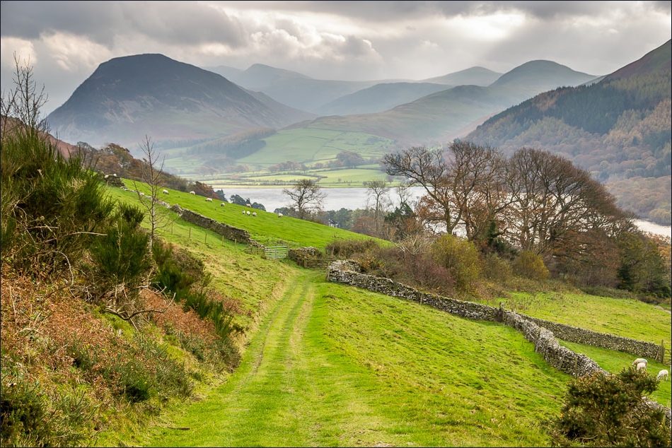 Mosser walk, Loweswater