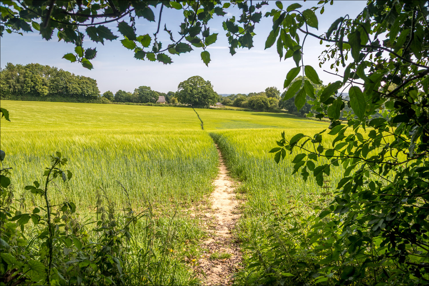 Northiam walk