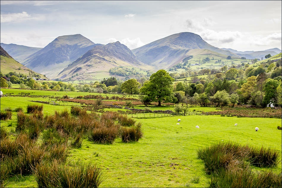 Portinscale walk, Newlands Valley