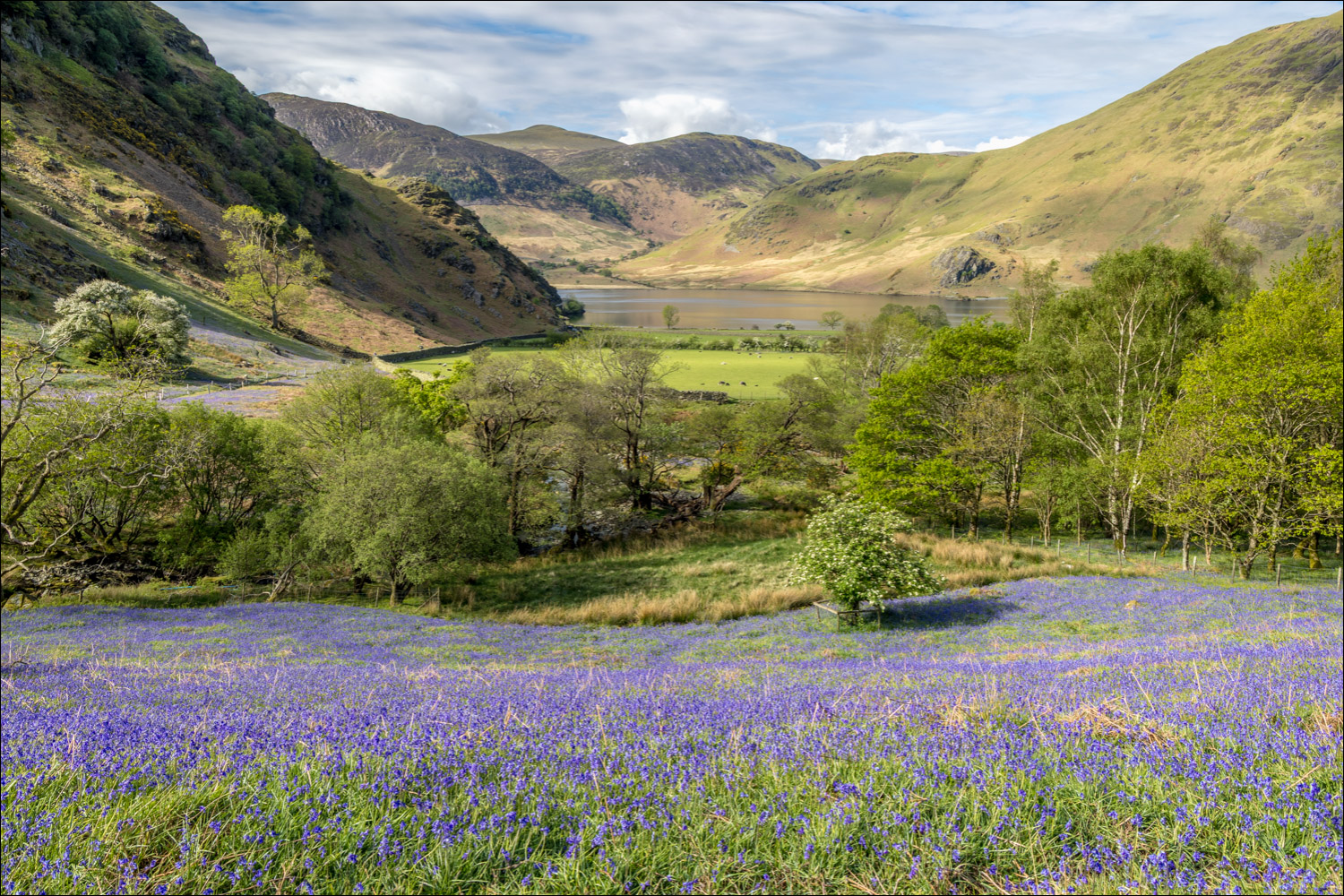 Rannerdale Knotts
