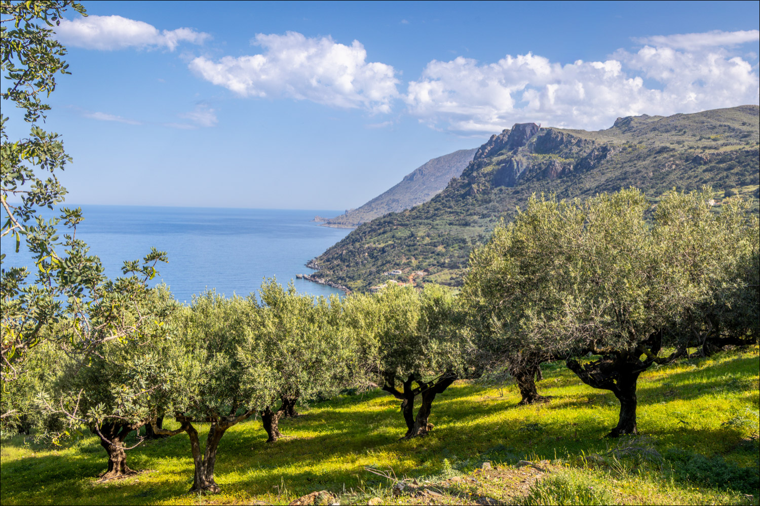 Ravdoucha