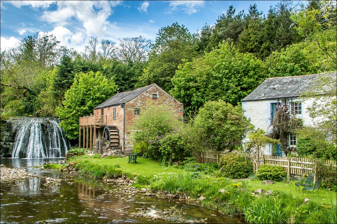 Rutter Force