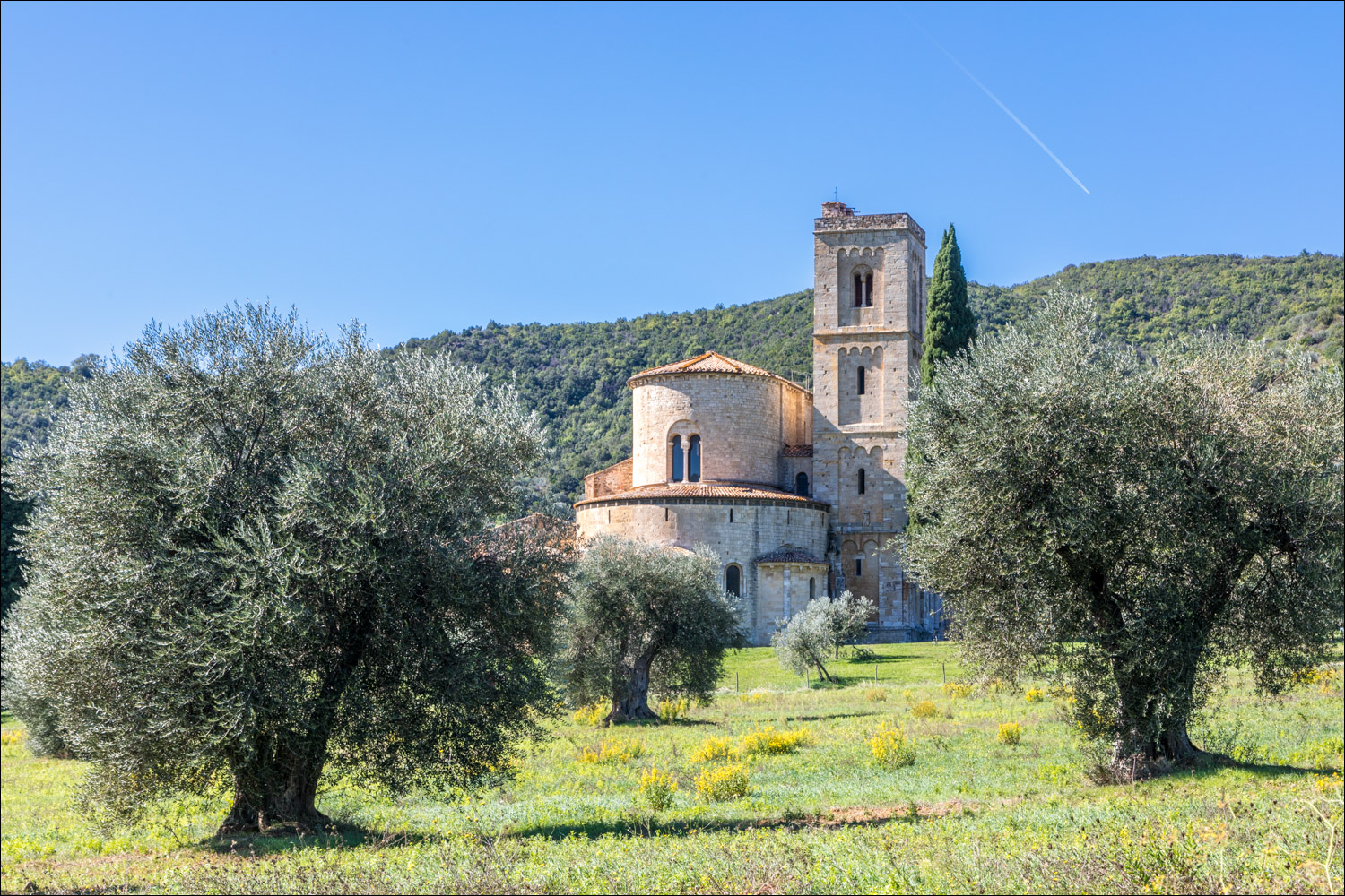 Montalcino