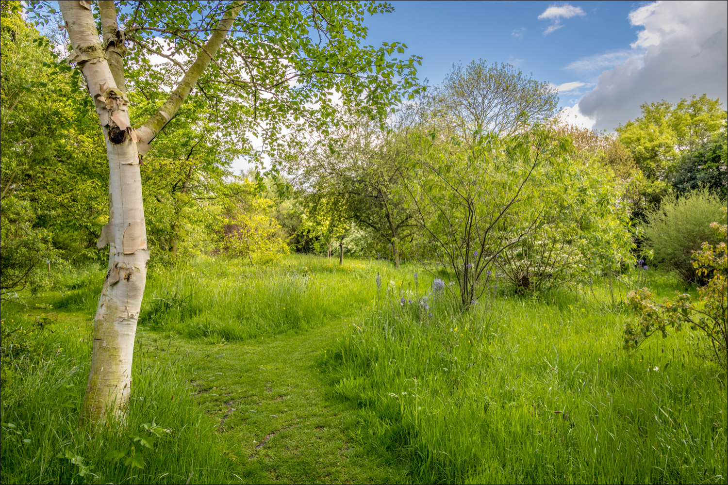 Stillingfleet Lodge Gardens