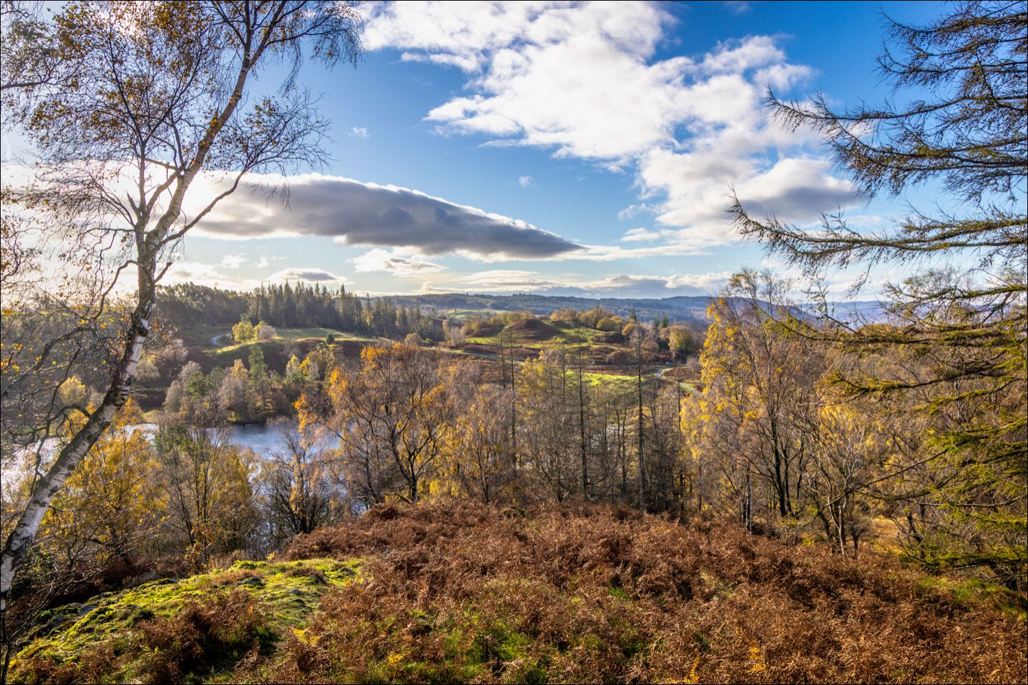 Tarn Hows from Tom Heights