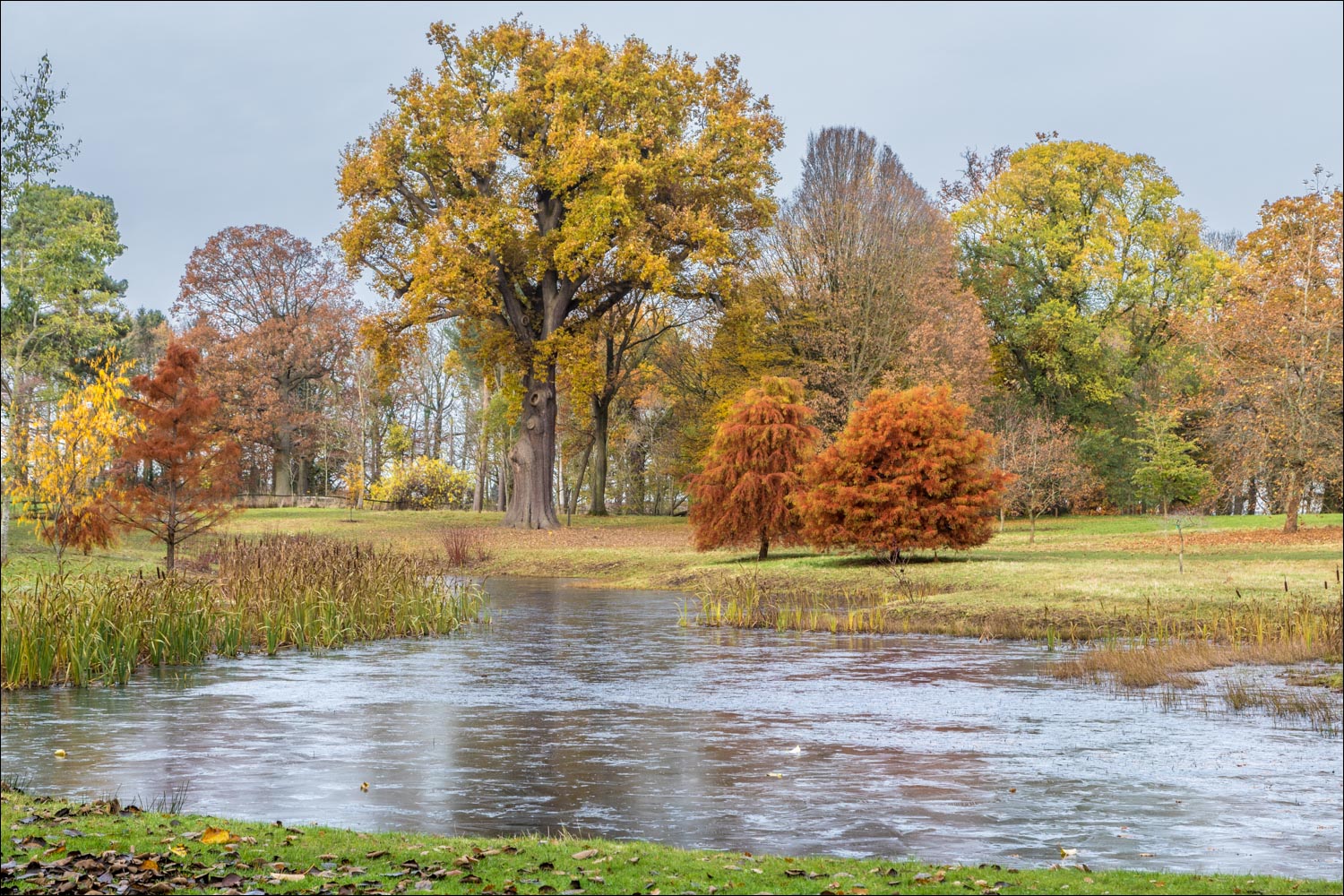 Thorp Perrow Arboretum