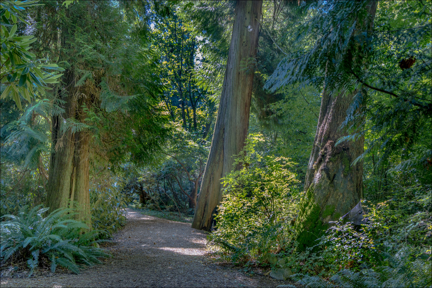 UBC Botanical Garden