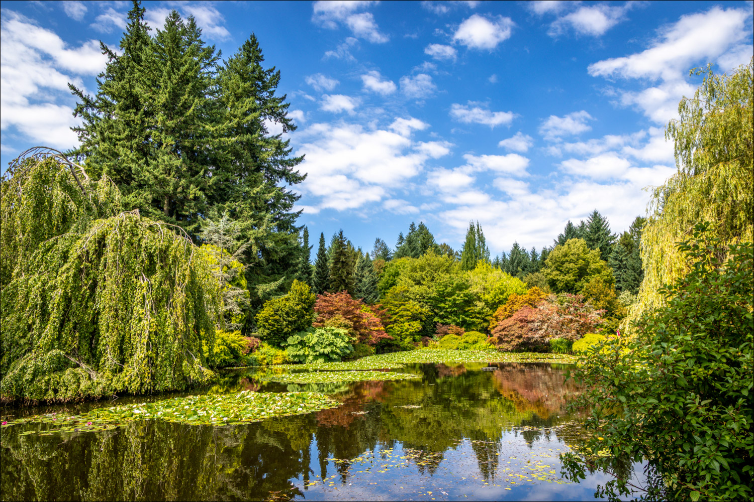 VanDusen Botanical Garden